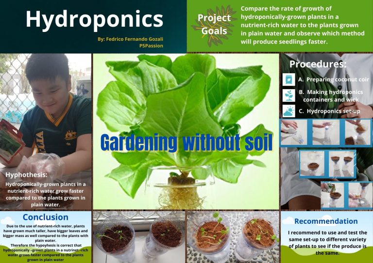 Hydroponics Project Fair