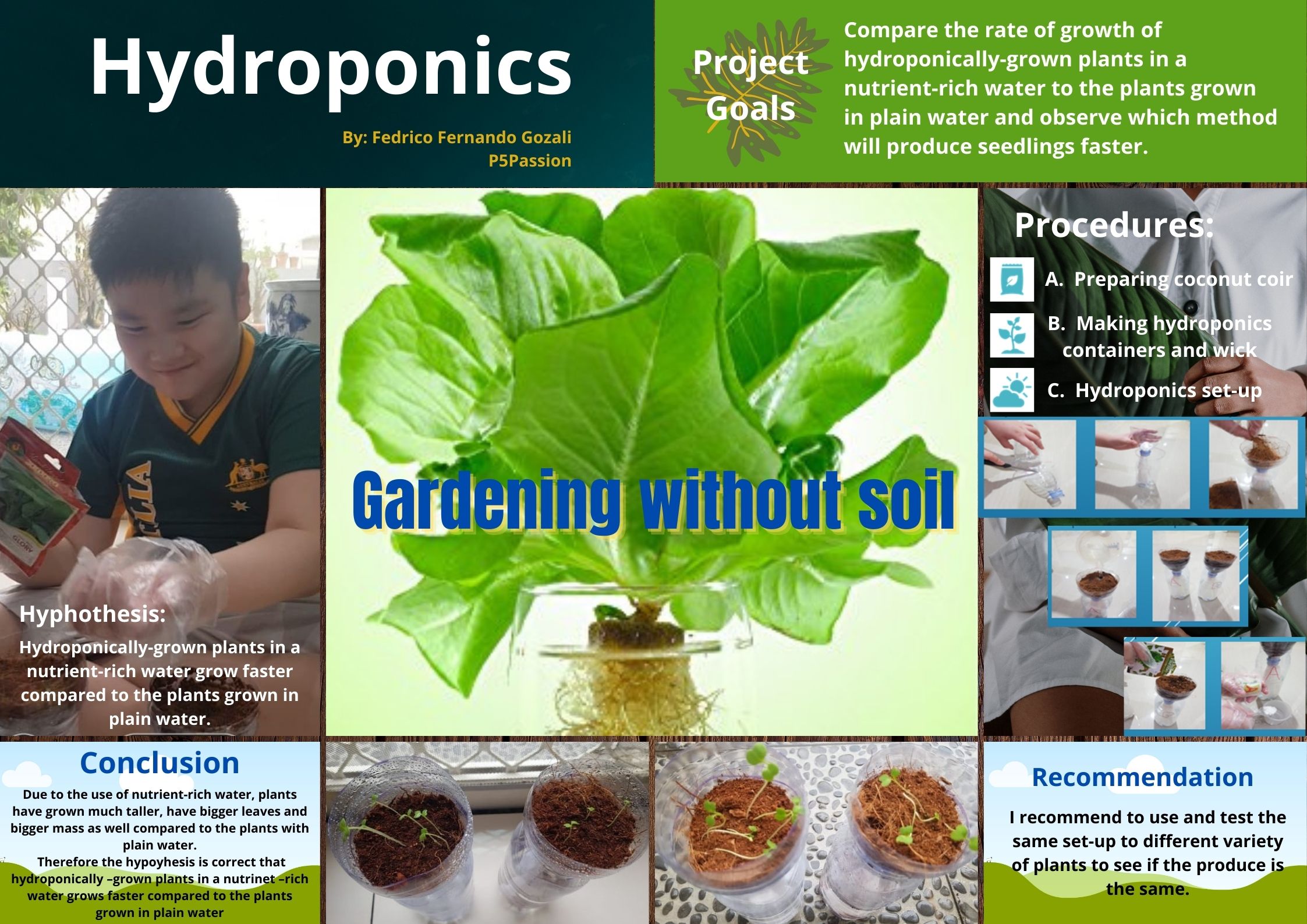 research project on hydroponics