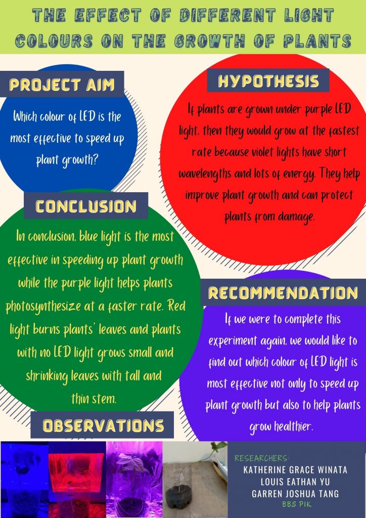 the effect of light intensity on plant growth experiment